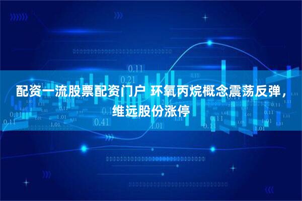 配资一流股票配资门户 环氧丙烷概念震荡反弹，维远股份涨停