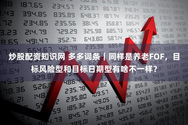 炒股配资知识网 多多词条｜同样是养老FOF，目标风险型和目标日期型有啥不一样？