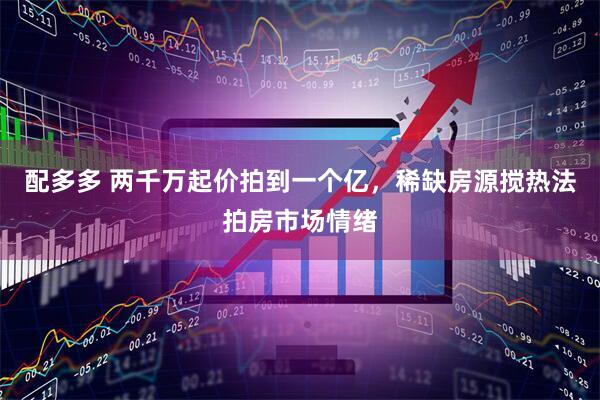 配多多 两千万起价拍到一个亿，稀缺房源搅热法拍房市场情绪
